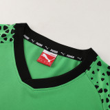PD02 green Mens Short Suit