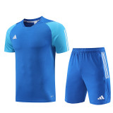 AD03 Royal Blue Mens Short Suit