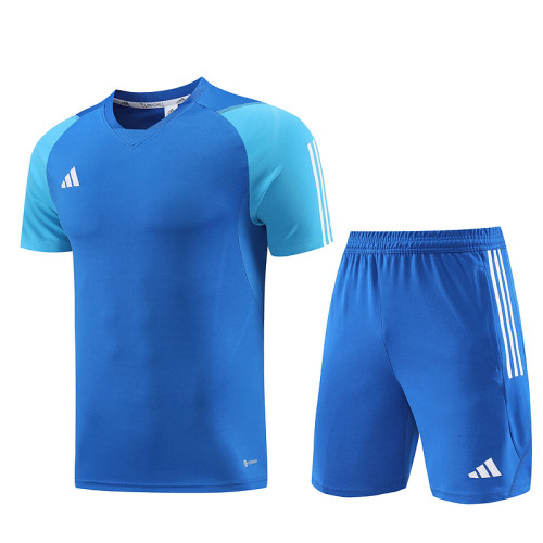 AD03 Royal Blue Mens Short Suit
