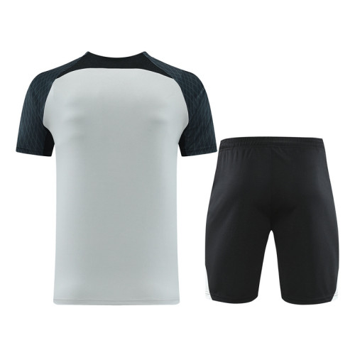 ND07 grey Mens Short Suit