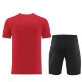 ND06 red Mens Short Suit