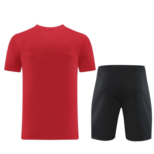 ND06 red Mens Short Suit