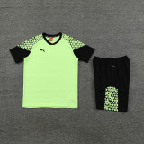 PD02 Light Green Mens Short Suit