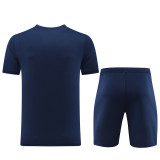 PD01 Navy Blue Mens Short Suit