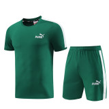 PD01 green Mens Short Suit