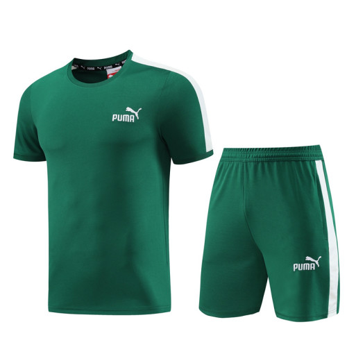 PD01 green Mens Short Suit