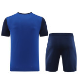ND03 Royal Blue Mens Short Suit