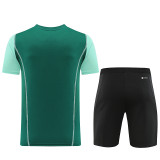AD03 green Mens Short Suit