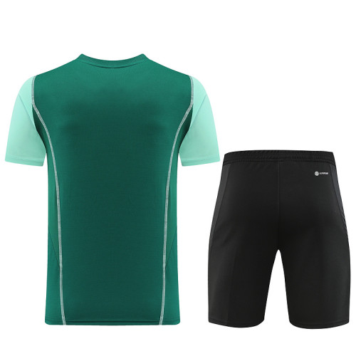 AD03 green Mens Short Suit