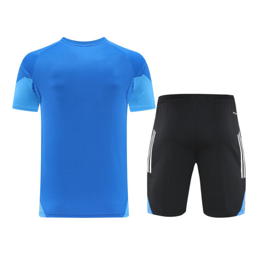 AD09 Royal Blue Mens Short Suit