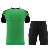 PD02 green Mens Short Suit