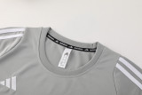 AD06 grey Mens Short Suit
