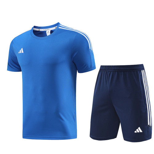 AD02 Royal Blue Mens Short Suit