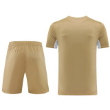 ND01 Khaki Mens Short Suit