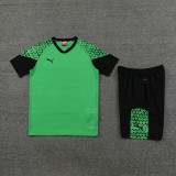 PD02 green Mens Short Suit