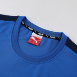 PD01 Royal Blue Mens Short Suit