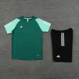 AD03 green Mens Short Suit