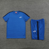 PD01 Royal Blue Mens Short Suit