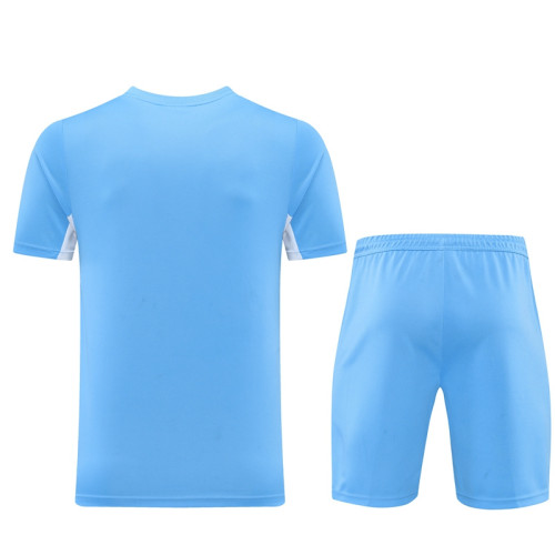 ND01 blue Mens Short Suit