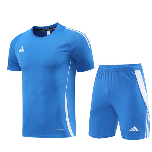 AD06 Royal Blue Mens Short Suit