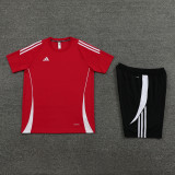 AD06 red Mens Short Suit