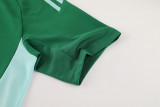AD08 green Mens Short Suit