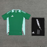 AD08 green Mens Short Suit