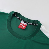PD01 green Mens Short Suit