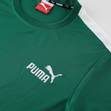 PD01 green Mens Short Suit