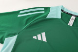 AD08 green Mens Short Suit