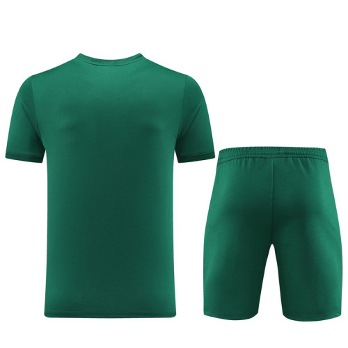 PD01 green Mens Short Suit