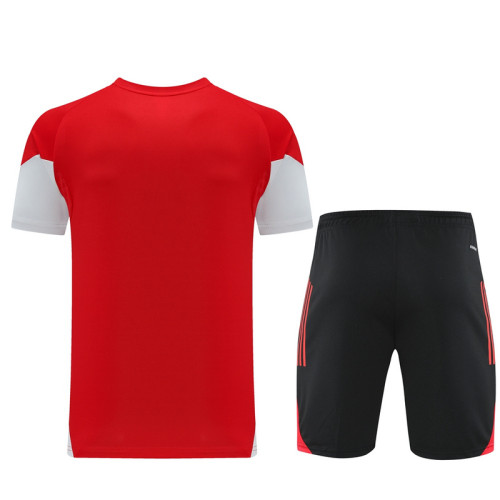 AD09 red Mens Short Suit