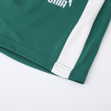 PD01 green Mens Short Suit