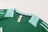 AD08 green Mens Short Suit