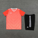 AD05 orange Mens Short Suit