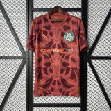 25∕26 Palmeiras Goalkeeper S-4XL