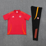 2024-2025 Bayern München Training Polo Suit