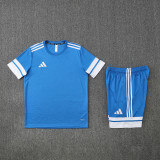 AD10 Royal Blue Mens Short Suit
