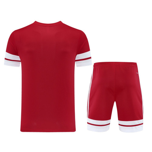 AD10 Red Mens Short Suit