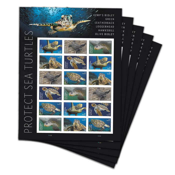 Protect Sea Turtles