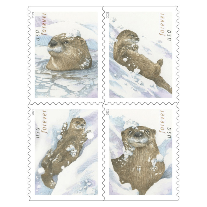 Otters In Snow