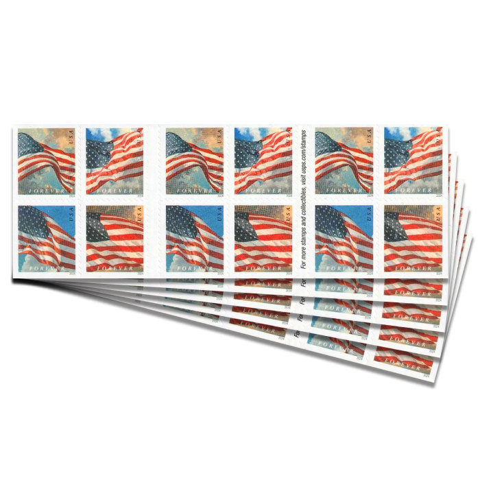 U.S. Flags 2024