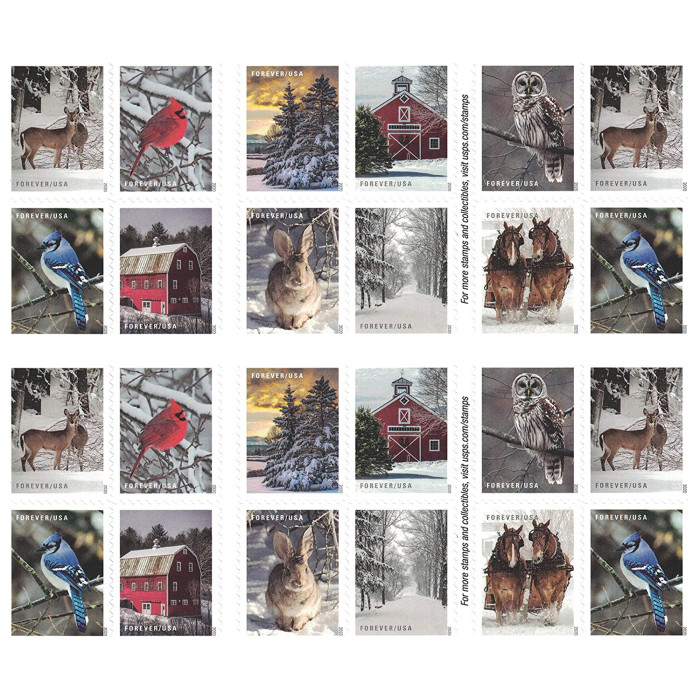 Winter Scenes
