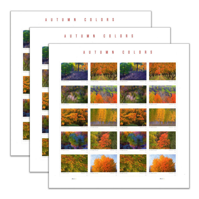 Autumn Colors