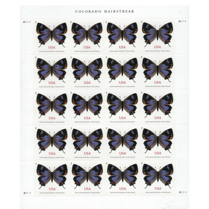 Colorado Hairstreak 2021