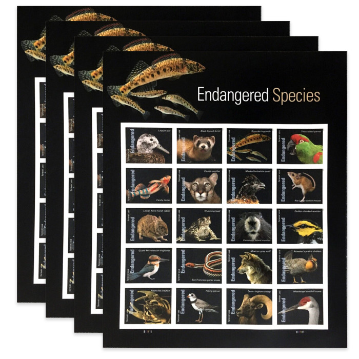 Endangered Species