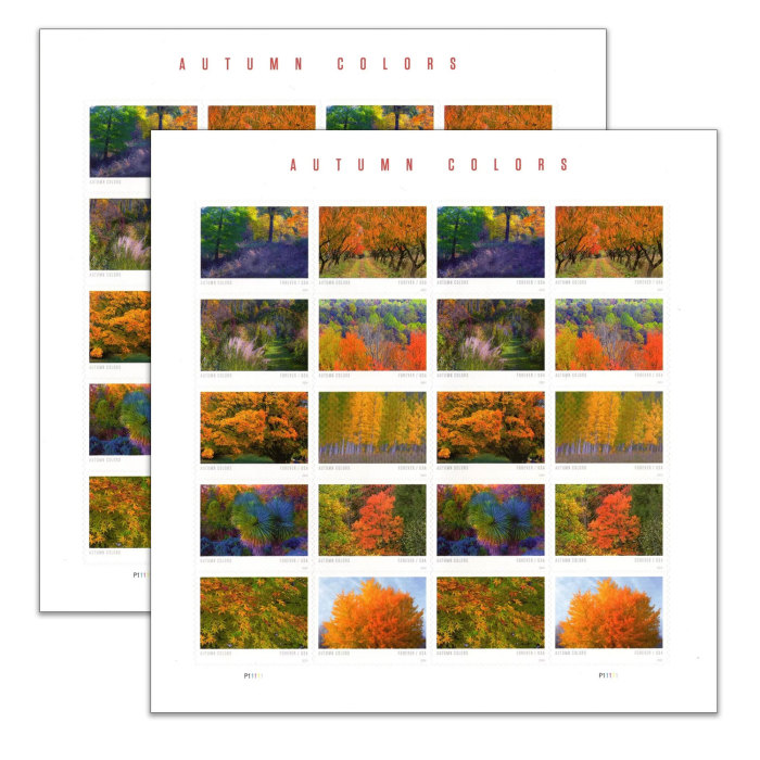 Autumn Colors