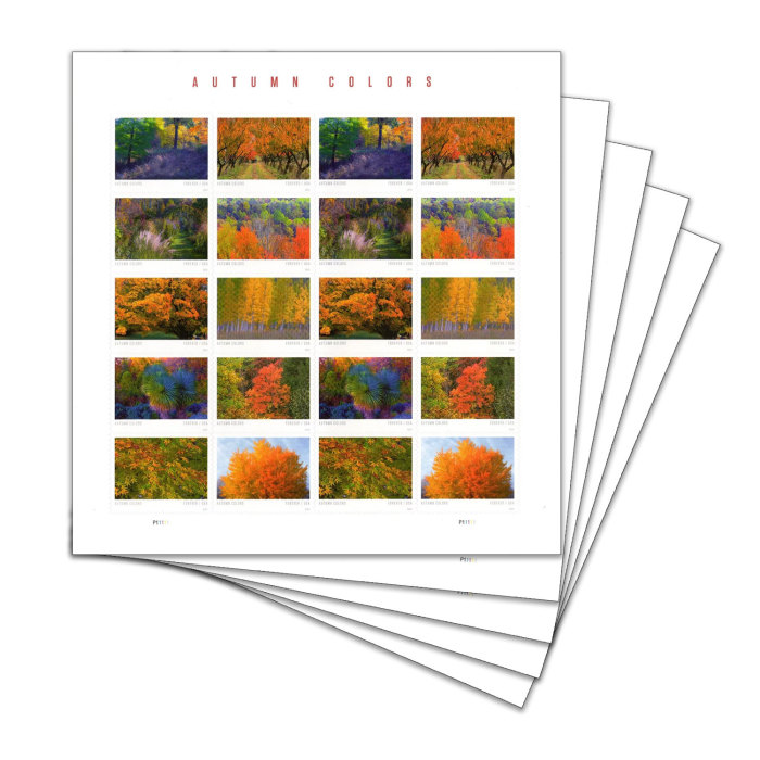 Autumn Colors
