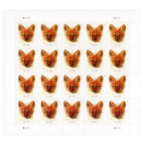 Red Fox
