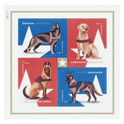 Military Working Dogs